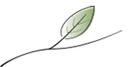 Logo NaturSpross GmbH