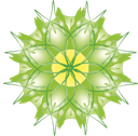 Logo Naturheilpraxis Murer GmbH