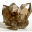 Logo Natur-Zentrum Steilädeli GmbH
