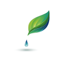 Logo nature products Switzerland GmbH
