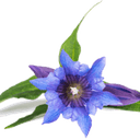 Logo Schneider Gartenbau/Tiefbau GmbH